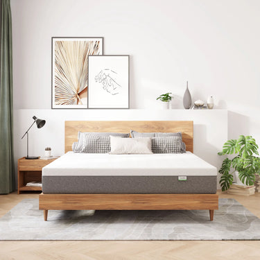 Home Two-Sided 10'' Medium Memory Foam Mattress